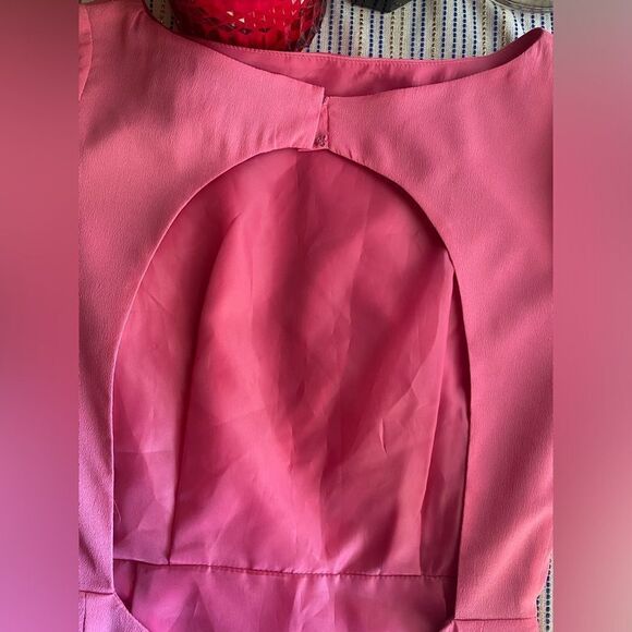 Literature Noir  Mini Dress Womens Size XS Pink Chic Cocktail with Open Back New - Picture 8 of 15